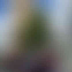 Falcons Fans auf dem Weg zur Location in Frankfurt