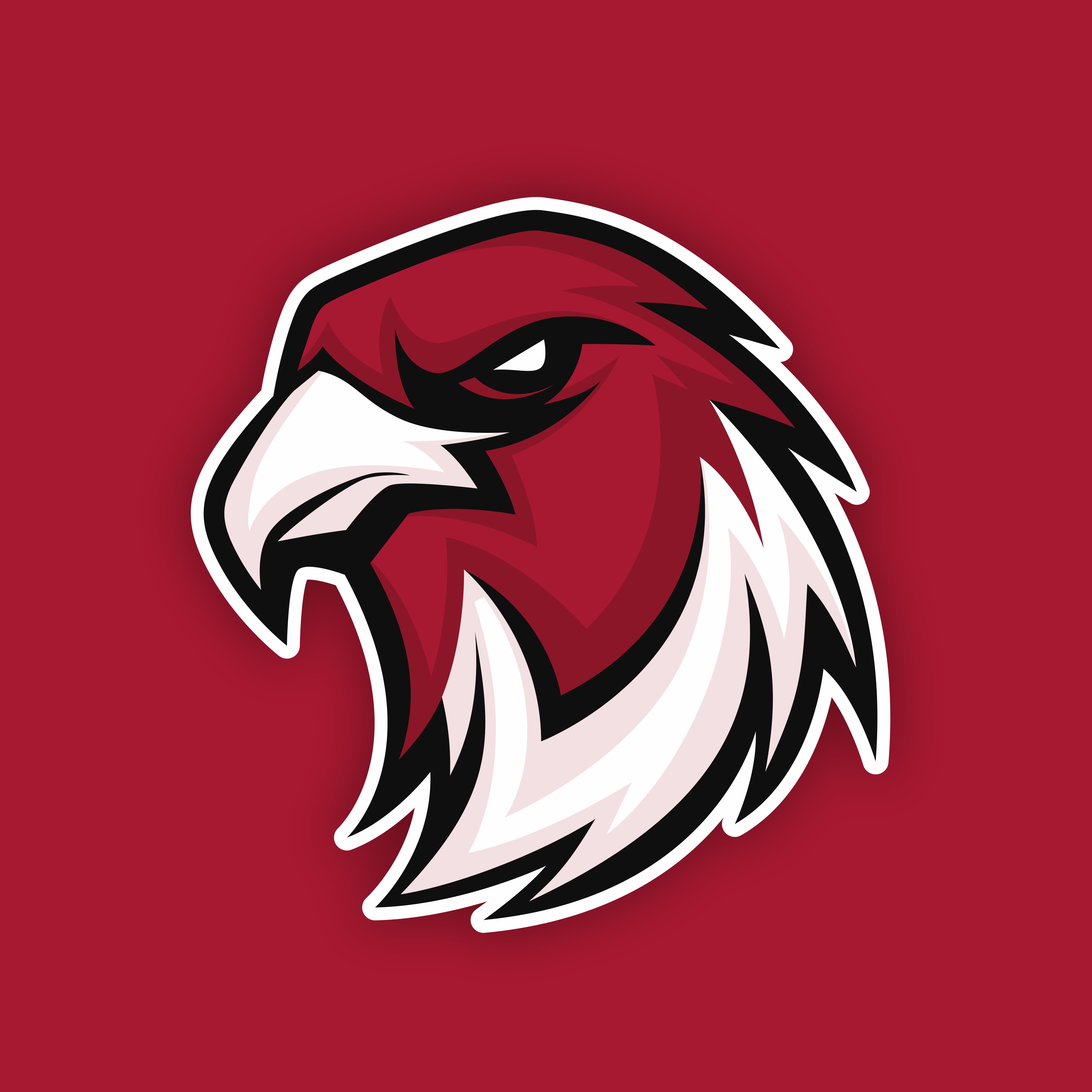Autorenbild: ATLFalconsGER