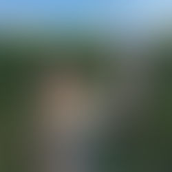 De eerste bestelling