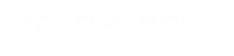 Logo Blue Fury