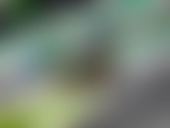 Miguel Paludo e Alan Hellmeister vencem os 500 km da Porsche Cup C6 Bank Mastercard em Interlagos e o título da Endurance Challenge