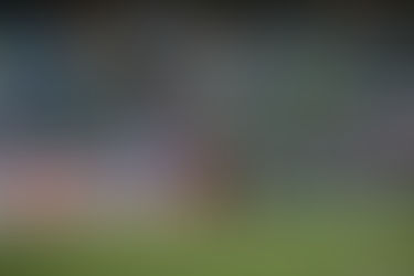 Com Gol de Rony Palmeiras vence Botafogo e tem a melhor campanha do Paulistão