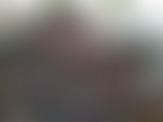 Carnival Parades in Brazil