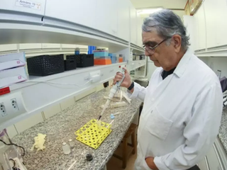 Unicamp desenvolve composto natural para tratamento de infecções