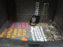 GCM de São Bernardo detém indivíduo por tráfico de drogas no Divinéia