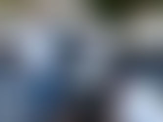 Prefeitura de São Caetano faz aplicação de adulticida contra mosquito da dengue