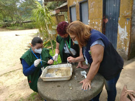 Grande ABC mobiliza população contra Aedes aegypti