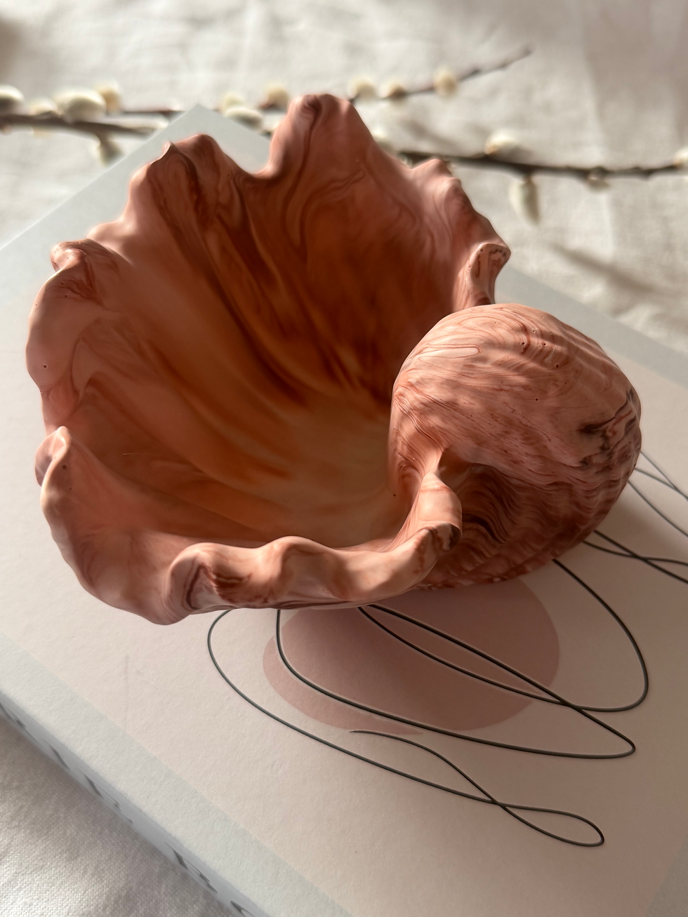 Miniature : CORAL
