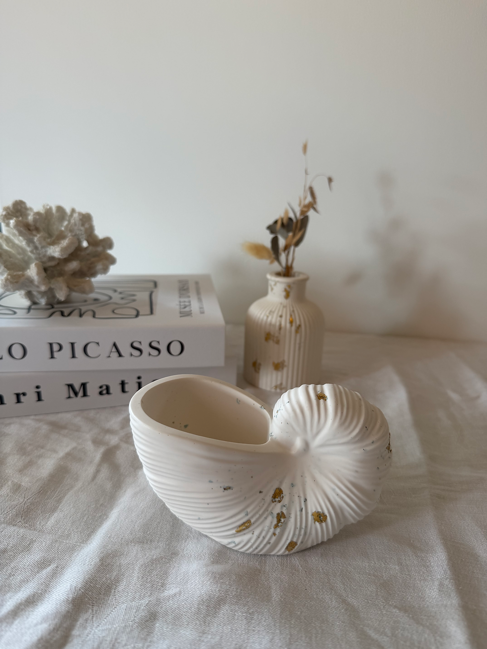 Miniature : WHITE NAUTILUS