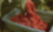 grind.jpg