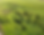 joesilerphoto1.png
