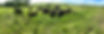 IMG_3380.jpeg