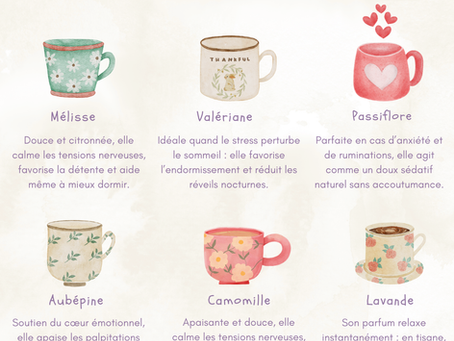 6 plantes pour apaiser le stress