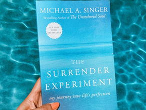 The Surrender Experiment