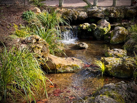 "Sean alquimistas conscientes (...)"- María Magdalena