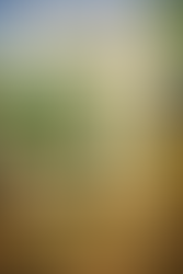 Sustainable Printing for Graphic Tees: Eco-Friendly Fashion That Speaks