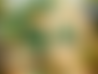 Sustainable Printing for Graphic Tees: Eco-Friendly Fashion That Speaks