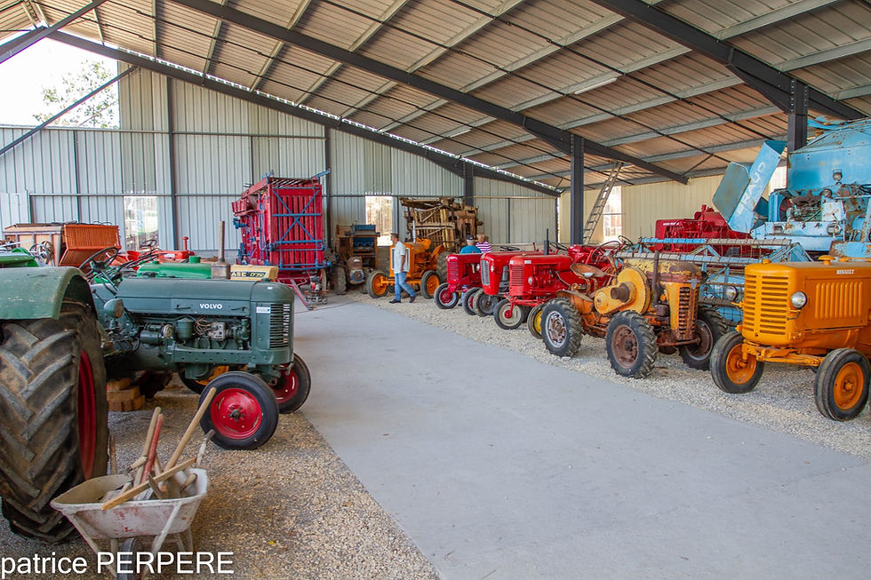 WhatsApp Image 2025-04-04 at 14.41.14 (2)