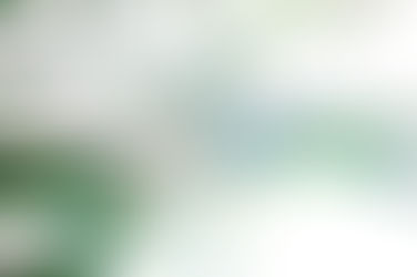 みいちゃんの日本画お稽古 vol.1 渇筆とたらしこみで描く松枝