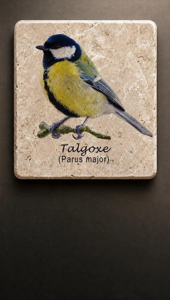 Talgoxe