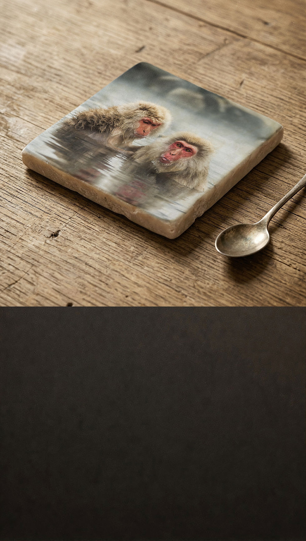 Miniatyrbild: Badande Makakapor