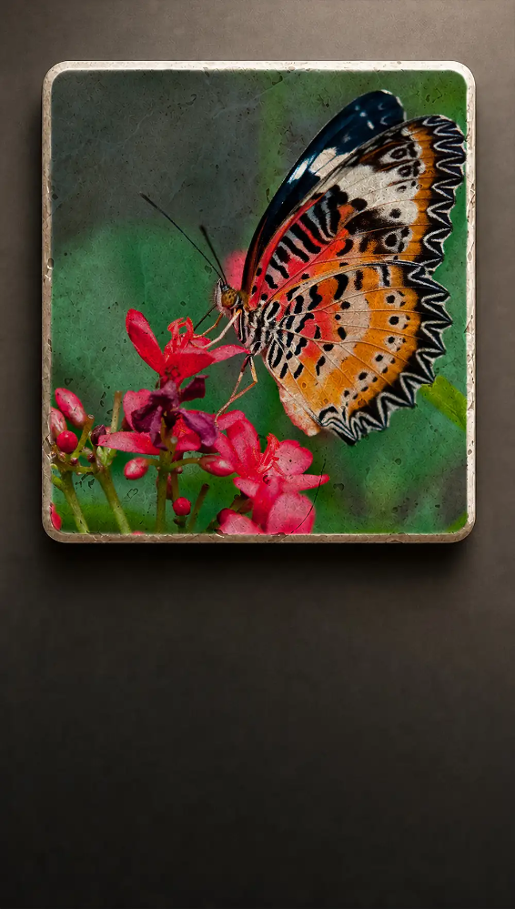 Leopard Lacewing Fjäril