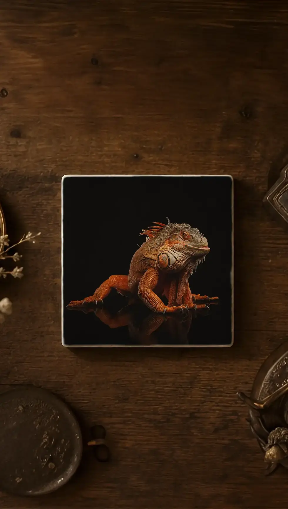 Miniatyrbild: Ödla