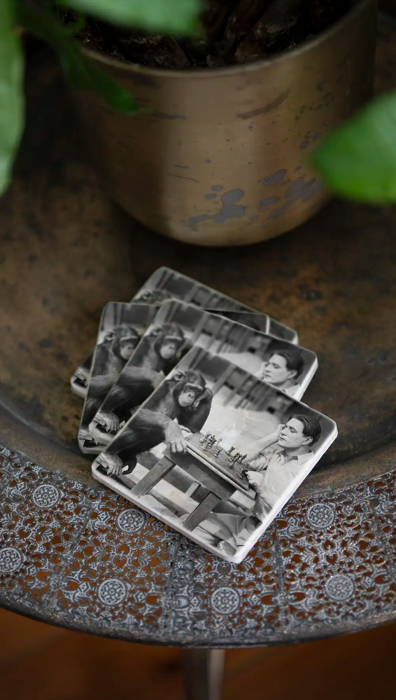 Miniatyrbild: Apa Som Spelar Schack