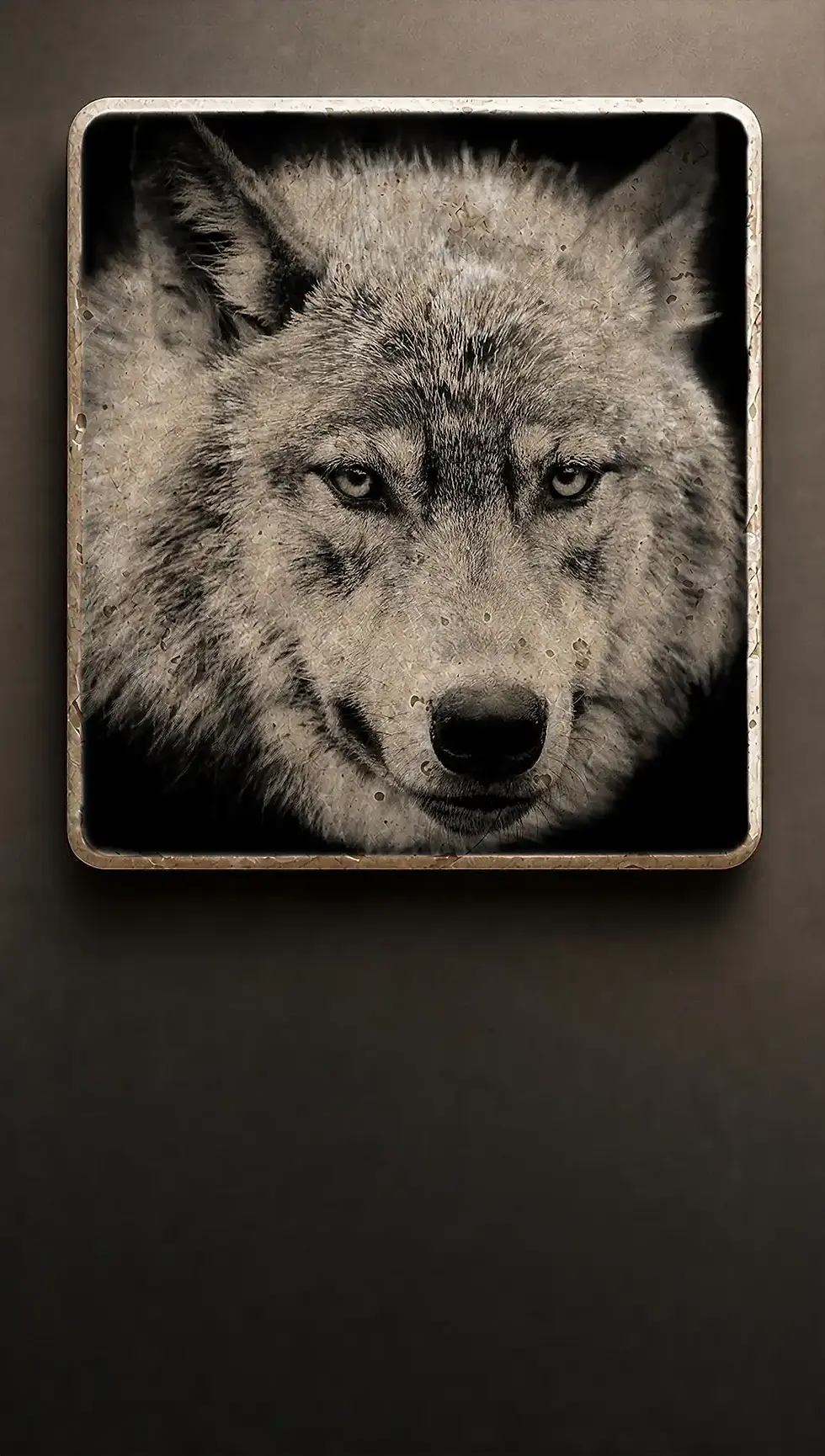 Miniatyrbild: Varg