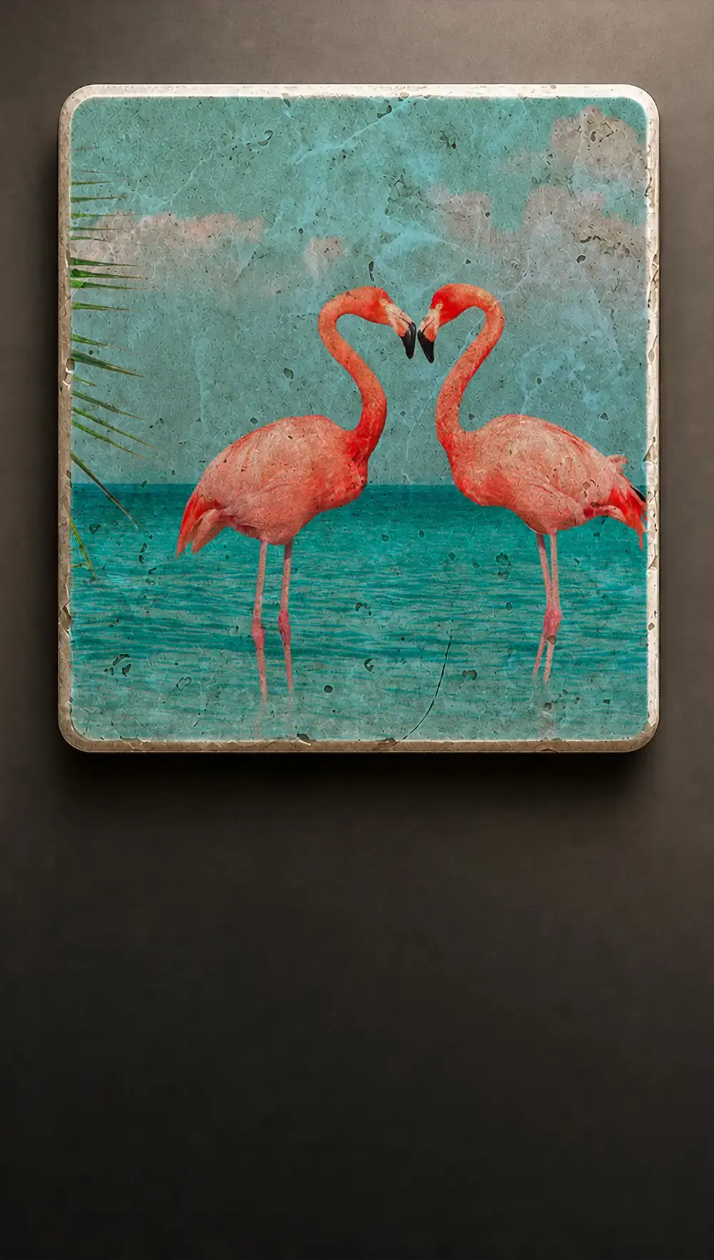 Flamingos