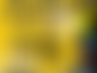 🟡⚫️ABONNEMENT-N3🟡⚫️