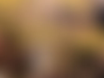 🟡⚫️R3: le résumé en vidéo