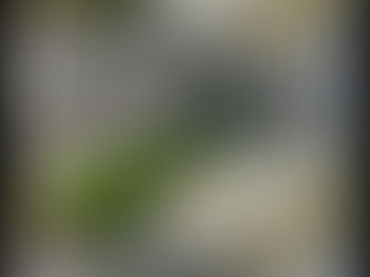 🟡⚫️COUPE DE FRANCE🟡⚫️