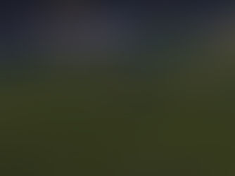 🟡⚫️les buts en vidéo🟡⚫️