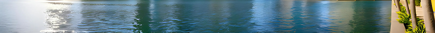 Untitled design (15)_edited.jpg