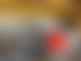 The Vector Dry Matter Intake Analysis