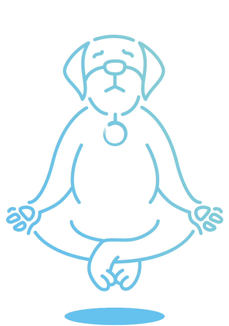 Zen-dog@2x1.gif