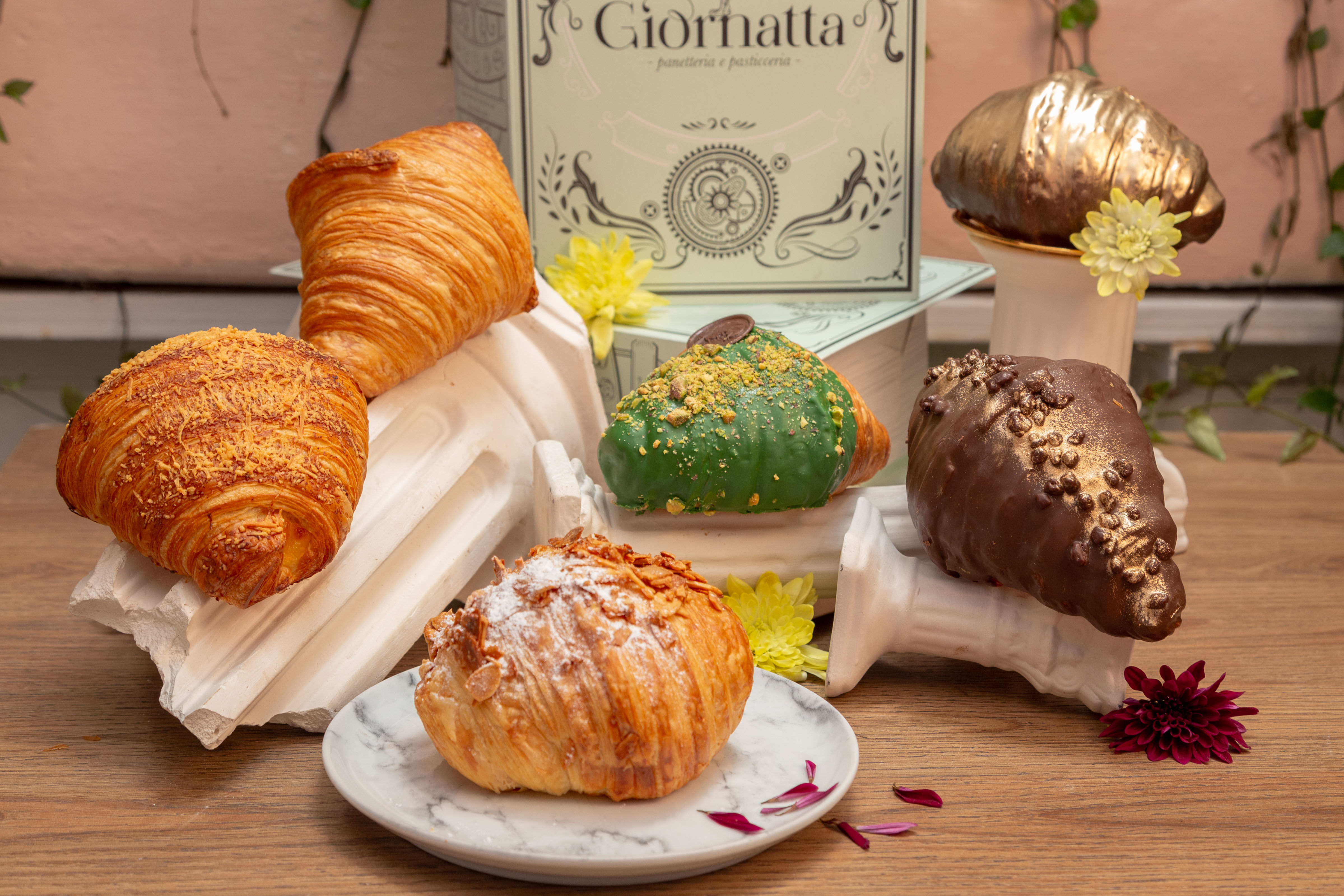 Caja Mágica Fiesta Salvaje x 6