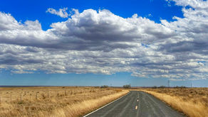 New Mexico; ABQ: Spring 2026