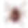big tick copy.png