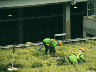 Infografía con los 5 derechos laborales básicos de los servidores públicos: estabilidad, condiciones dignas, seguridad social, libertad sindical y capacitación