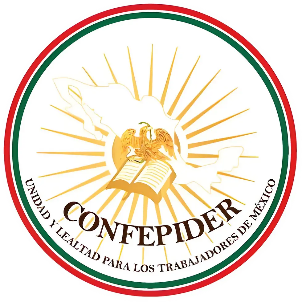 LOGO-CONFEPIDER.webp