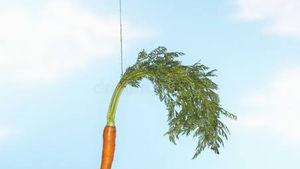 The Carrot That's Dangled