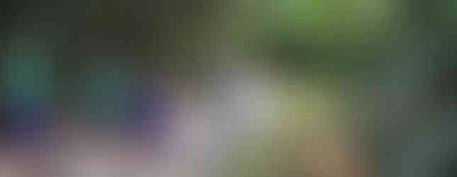 Pasaulio lietuvių sporto