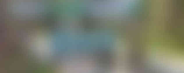 Pasaulio lietuvių sporto