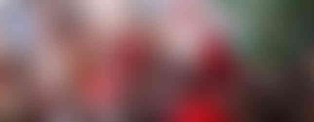 Kalėdinė eglutė „šešių pasakų šalyje“