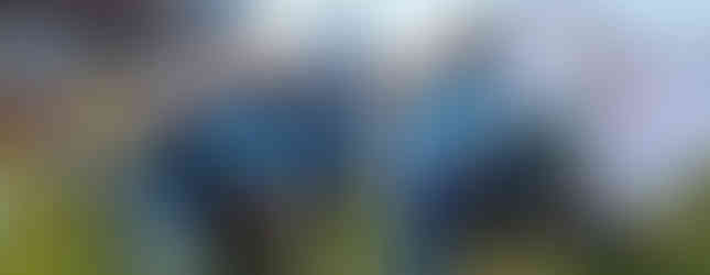 Pasaulio lietuvių sporto