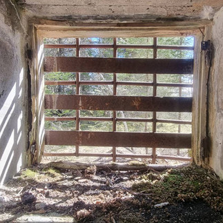 From inside the cellar