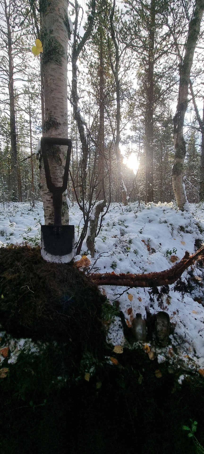 digging in winterland