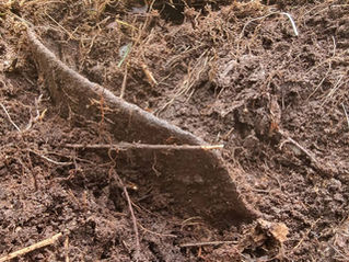 rim of a german helmet sticking out of the ground